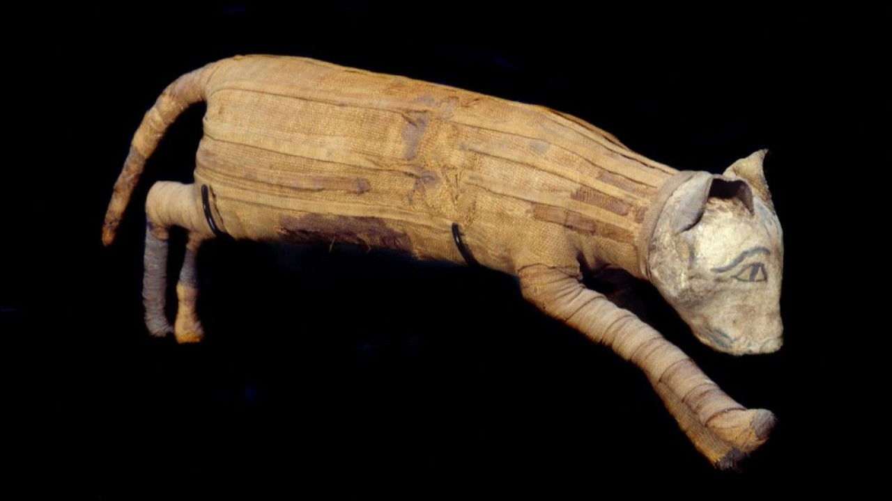 Stuttgart: Dragojtë e 26-të. Në këmbë backdrop