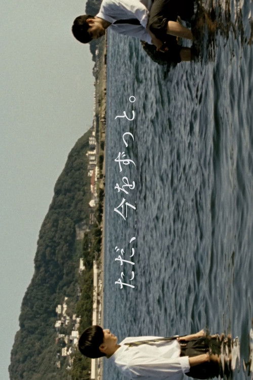 Gozhdet-Peshqit Fluturojnë poster