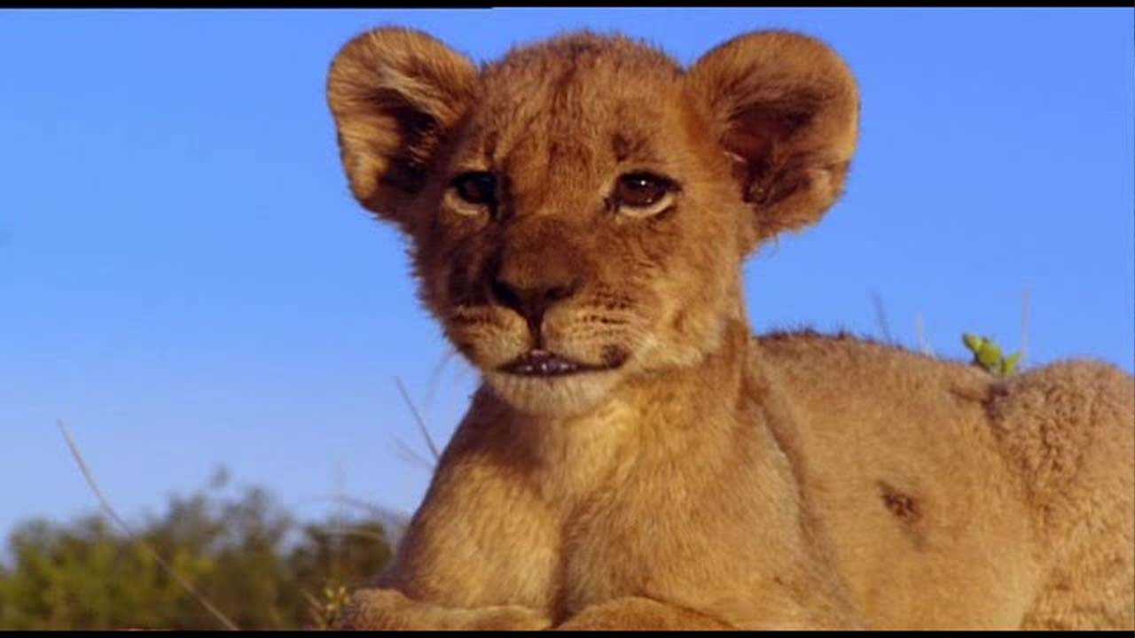 Konchem Ishtam Konchem Kashtam backdrop