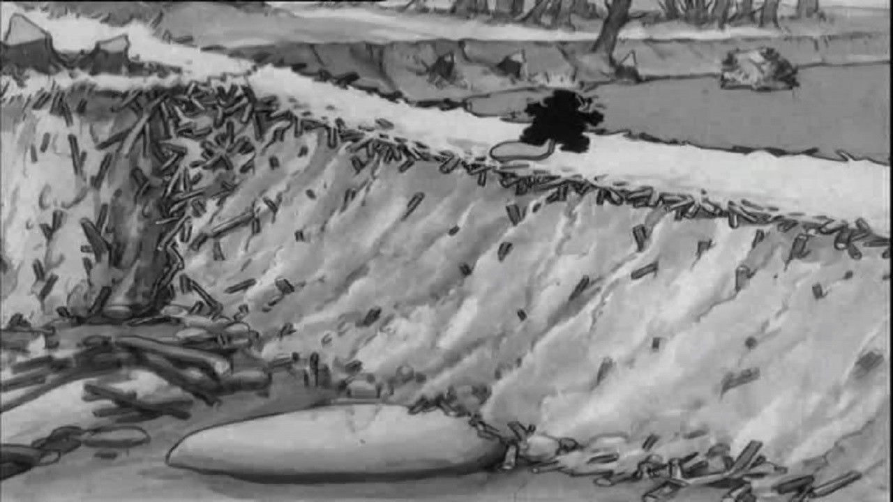 Bajameja e Plazhit backdrop