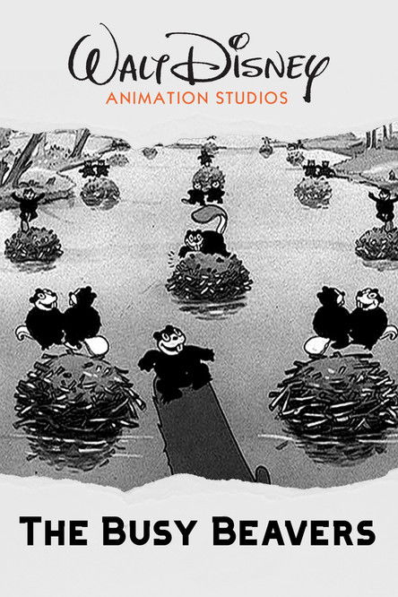 Bajameja e Plazhit poster