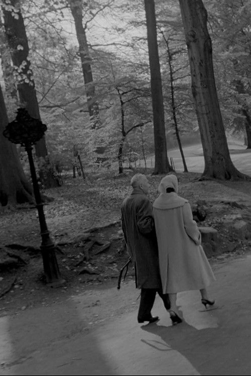 Hijet në kufi poster