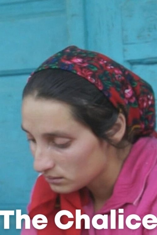 Fighting Spirit poster