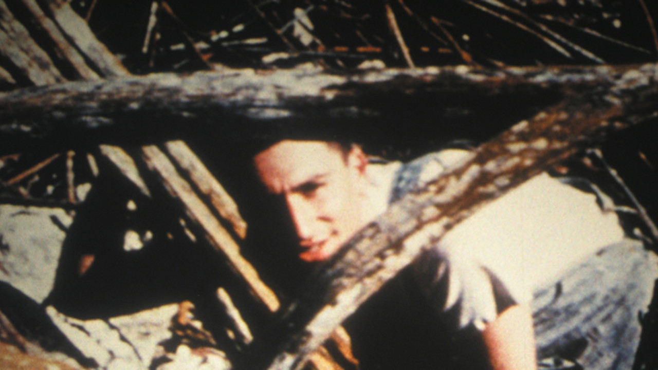 Dy Lashtësitë te Fëmijët e Nesërm backdrop