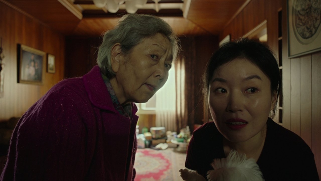 Çfarë është e re për dashurinë? backdrop