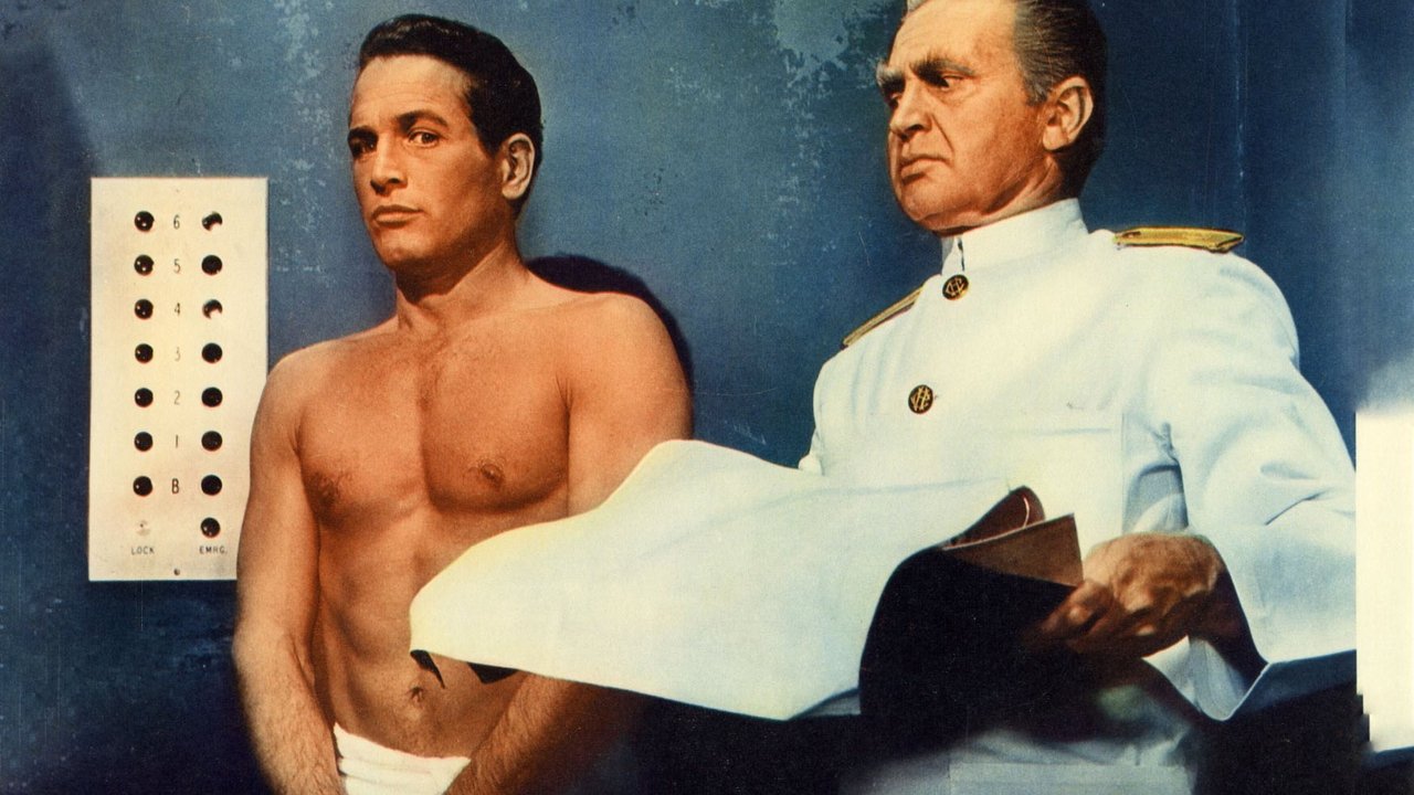 Fergie i Vogël Gri dhe Shoku i Tij i Ri Clunky backdrop