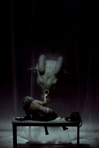 Ku janë tani ëndrrat e rinisë