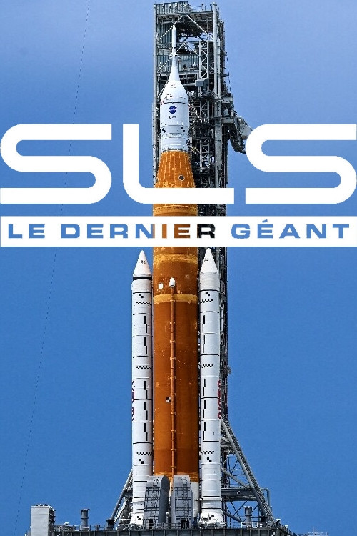 Pengesë rrugore poster