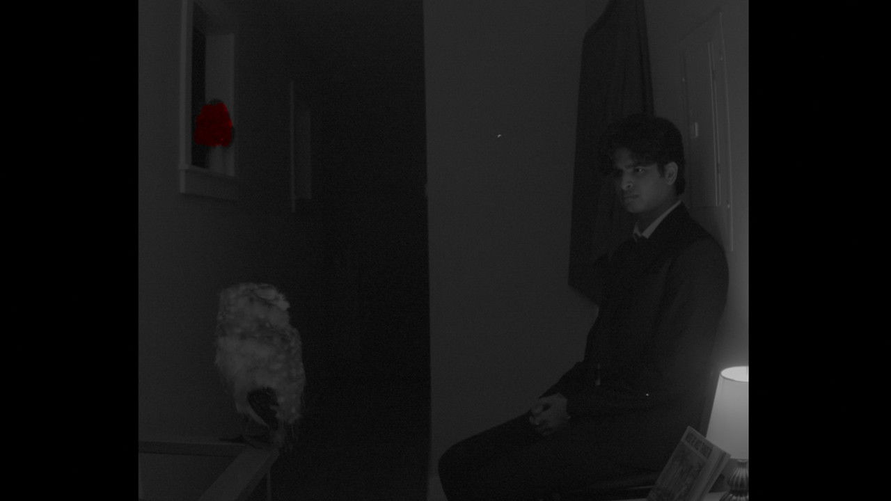 Për ta Mbajtur Ngrohtësinë Tënde për një Jetë të Tërë backdrop