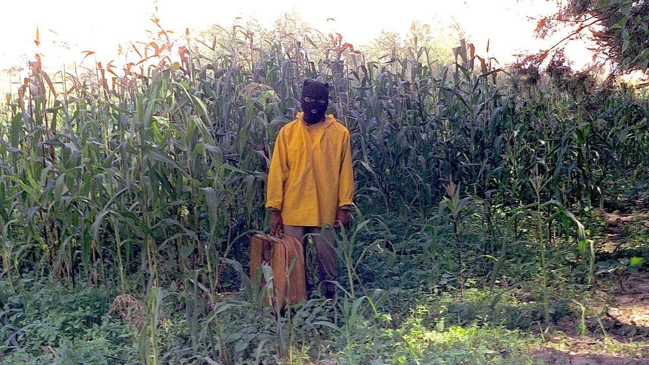 Kofani i Dragoit dhe Gali i Fenixit të Dinastisë Tang backdrop