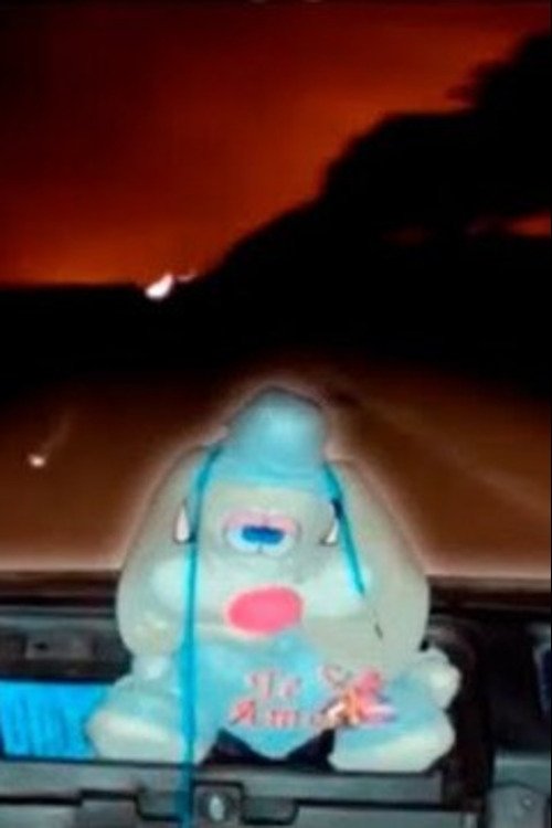 Vjeni, Vrasës: Fëmijët e Vjedhur poster