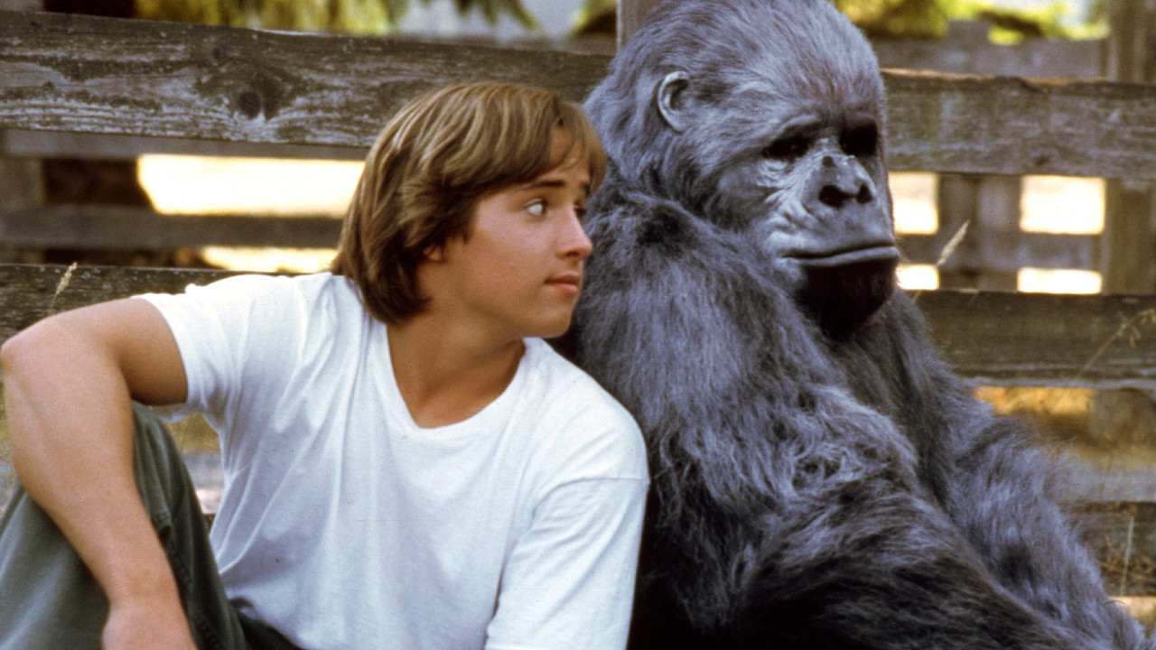 Tigra dhe Tatuazhe backdrop