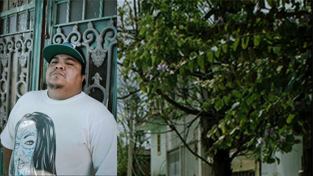 Lulja e Ferndit backdrop