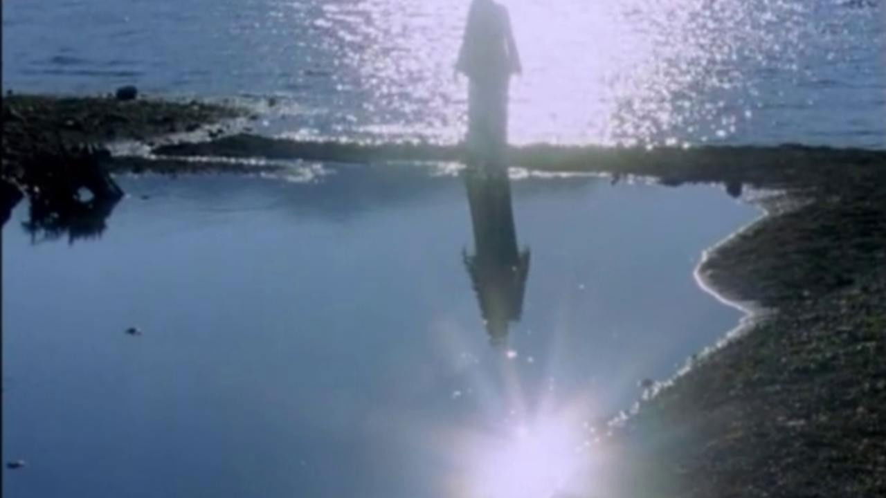 Lufta Sekrete e Leopardit të Borës backdrop