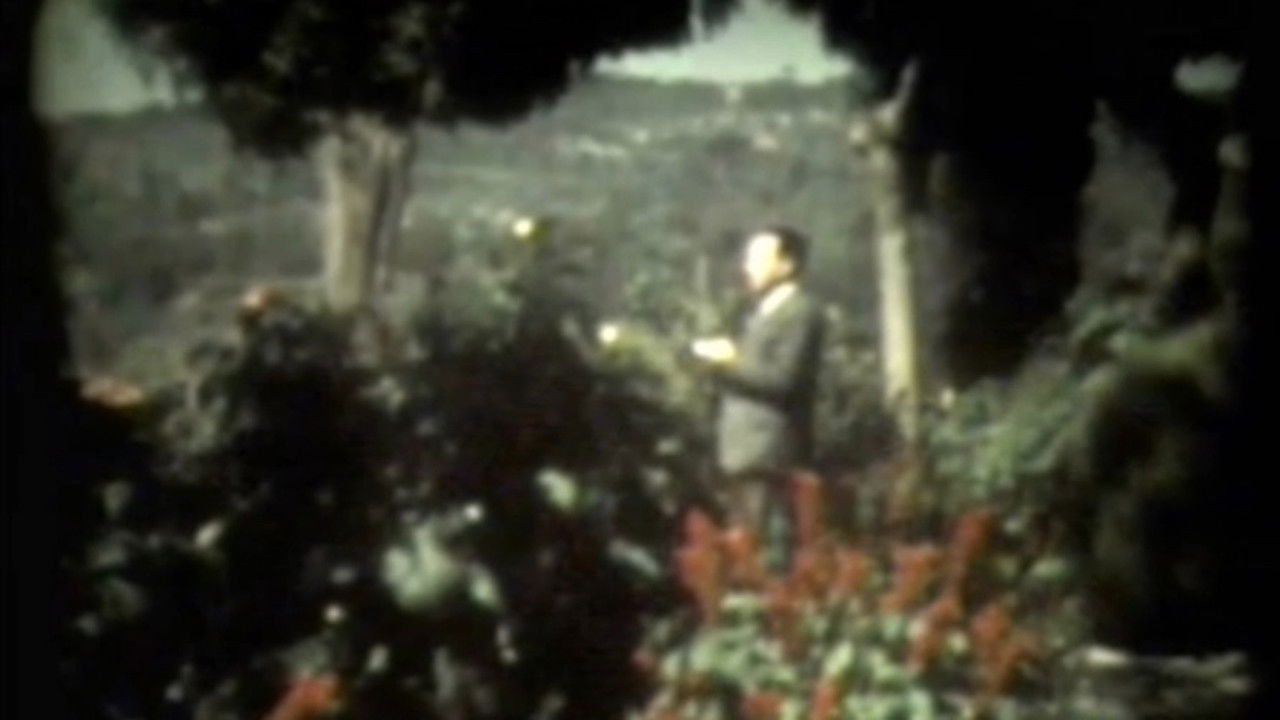 Daughter e Ujkut të Vetmuar backdrop