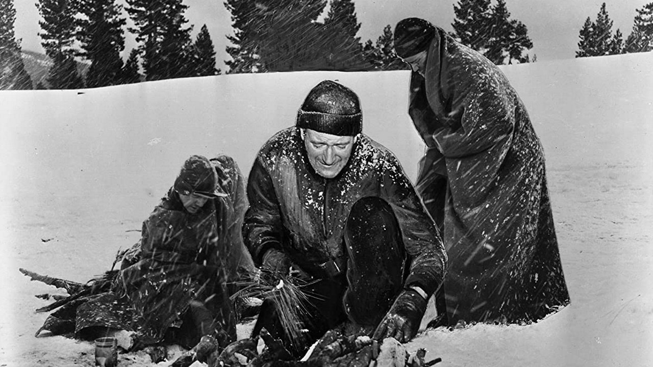 Jónsi: Shko Live backdrop