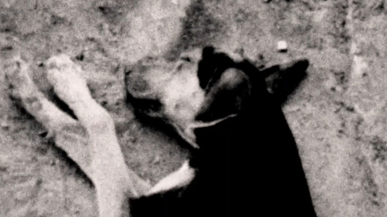 Klíčová dírka pro zvědavou princeznu backdrop