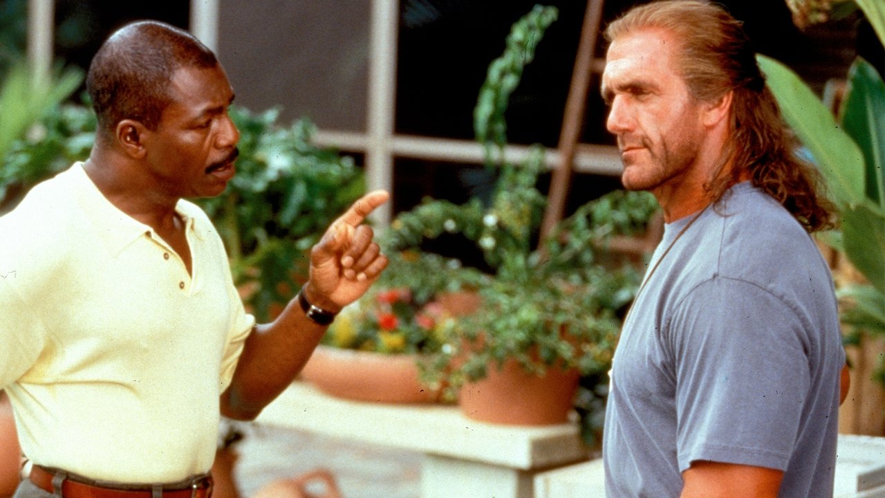 Ninja Vdekja backdrop