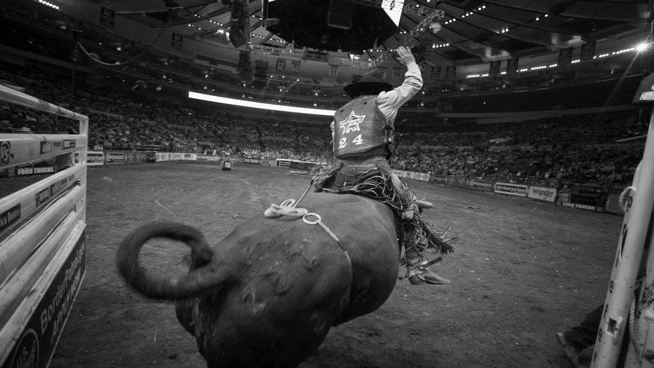 Dita më e gjatë backdrop