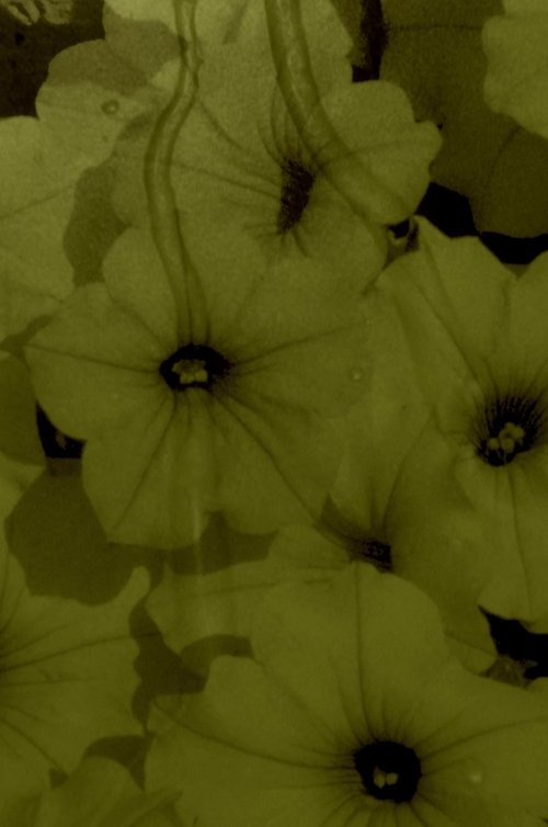 A ke të drejtë, a ke të drejtë? poster