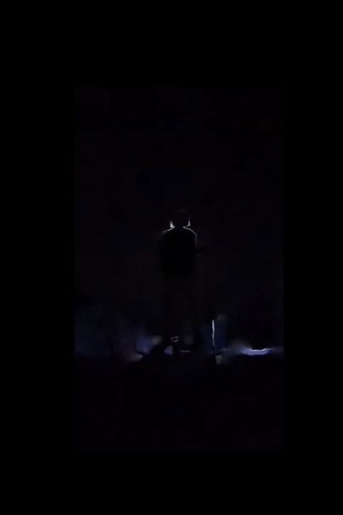 Pulëza e artë poster