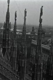 Den Ace Taro: Sekreti i Rripit të nxehtë