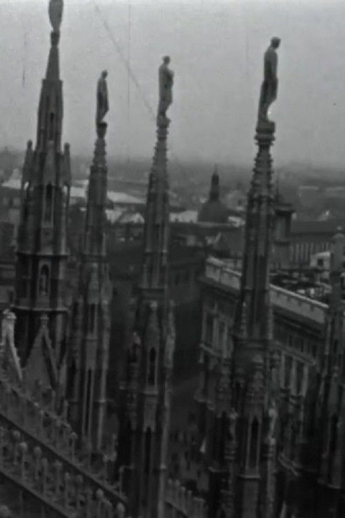 Den Ace Taro: Sekreti i Rripit të nxehtë poster