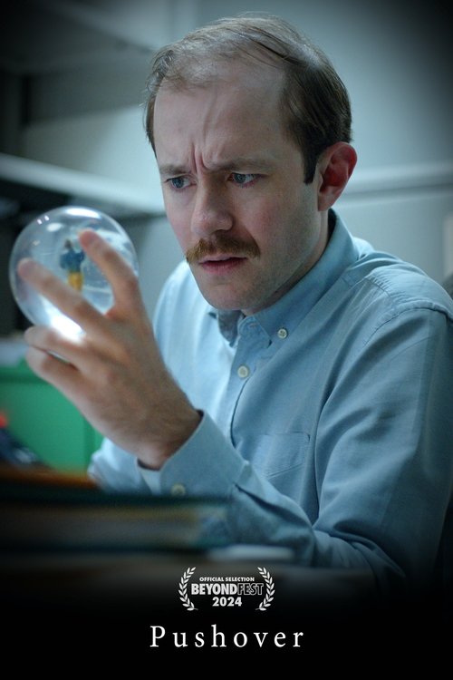 Letër nga një Grua e Panjohur poster