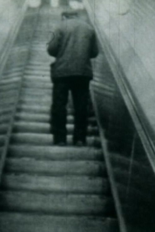 Jetesa në Delusionville poster