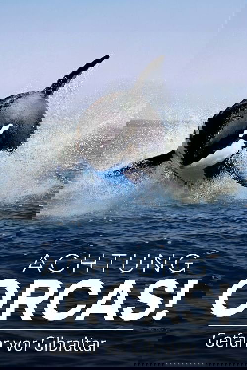 Social Briars poster