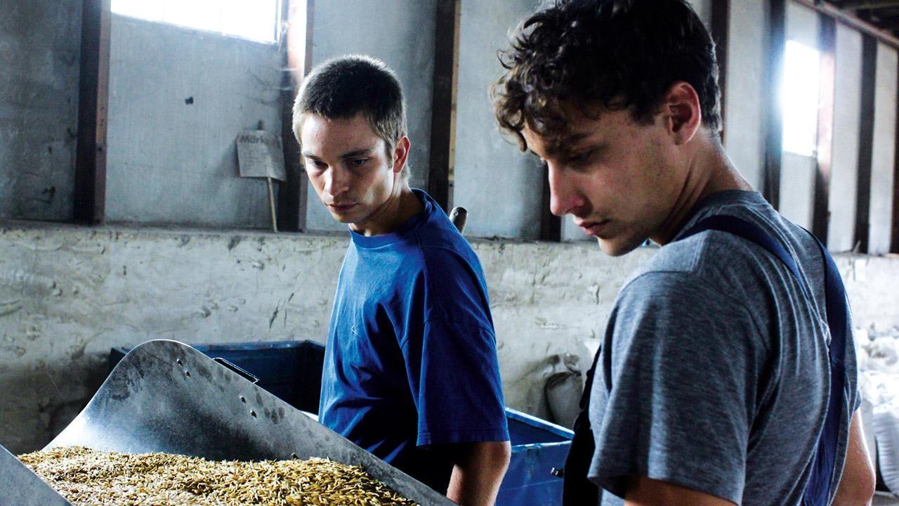 Trash i Bashkuar backdrop