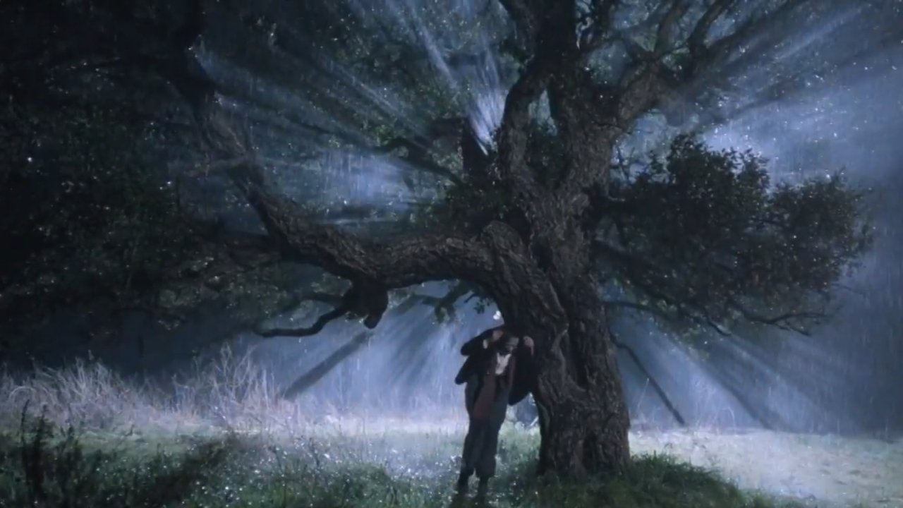 Vija e Verdhe backdrop