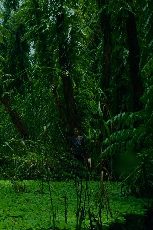 Vera me Bikini poster