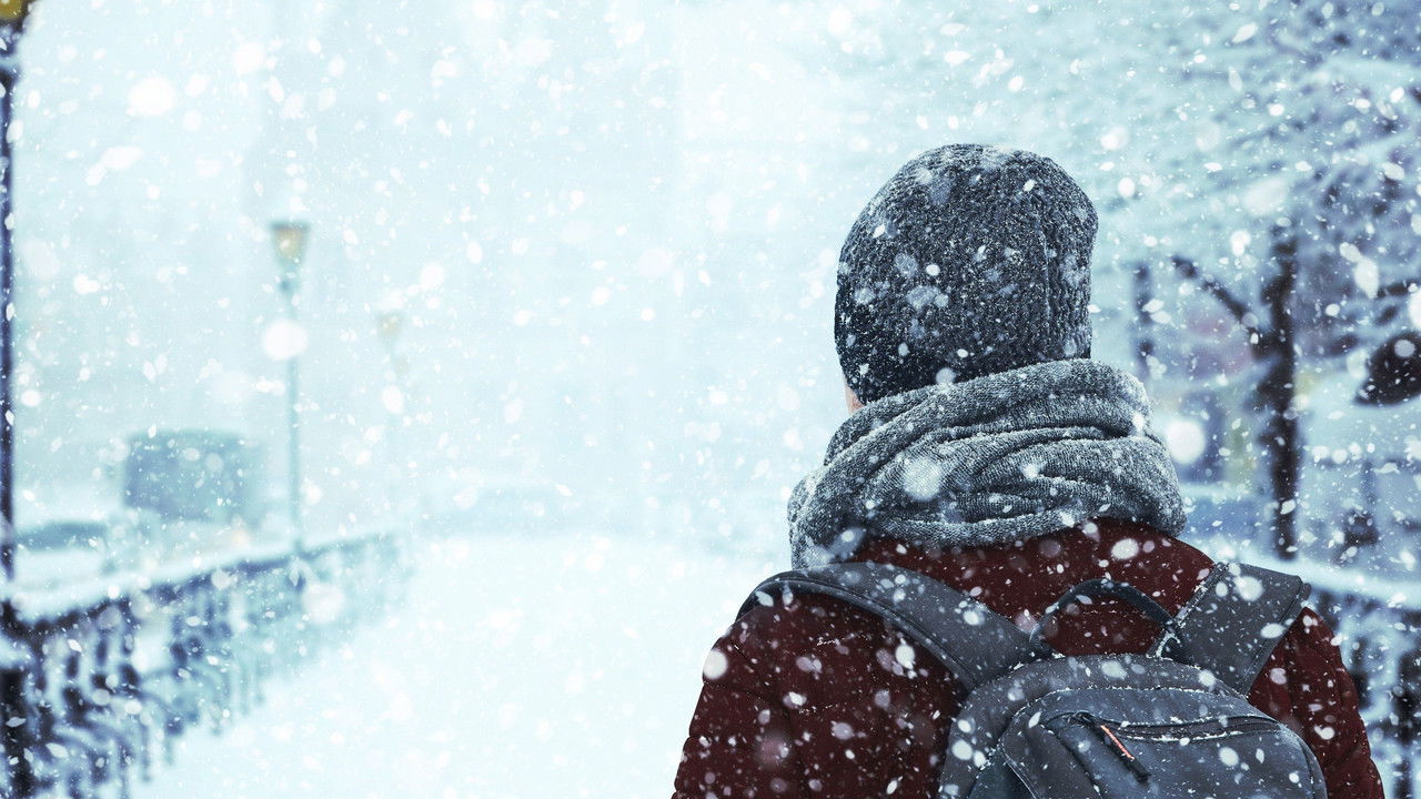 Gnomët - Aventurat në Dëborë backdrop