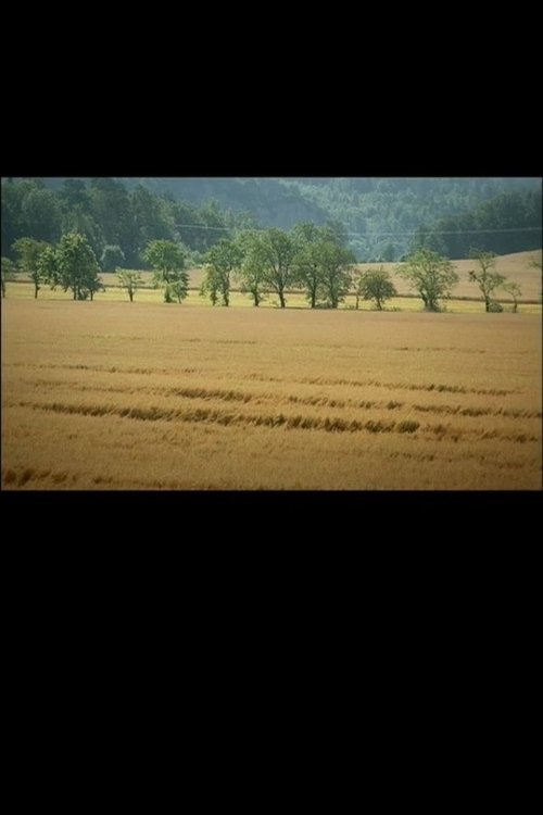 Një wen iig, dr Dällebach Kari poster