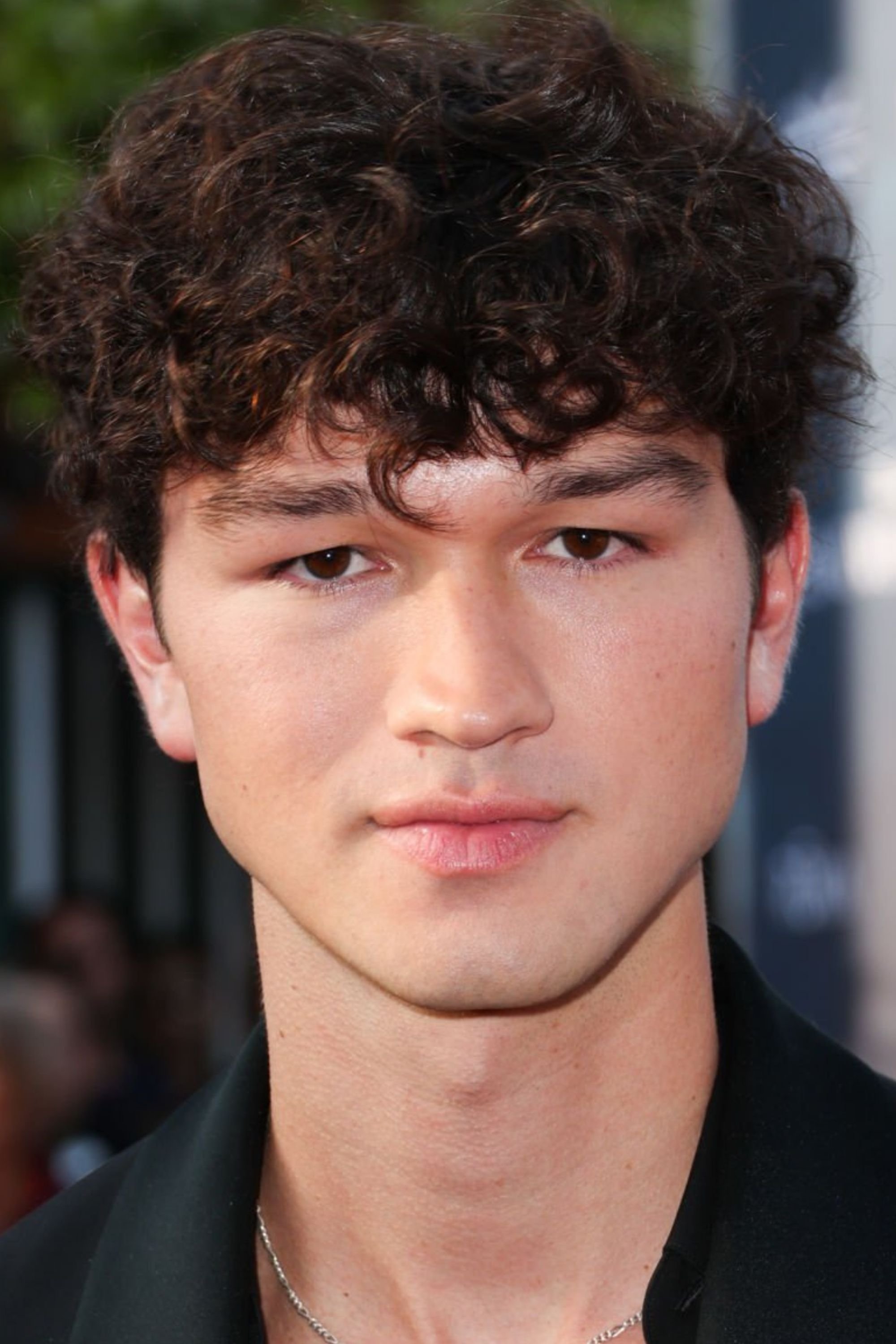 M. David Mullen backdrop