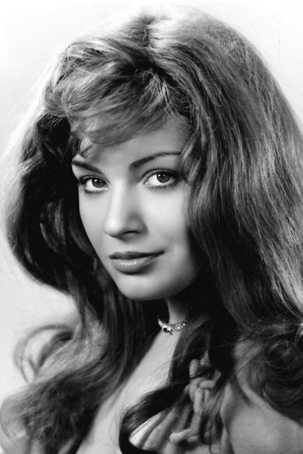 Michel Le Royer backdrop