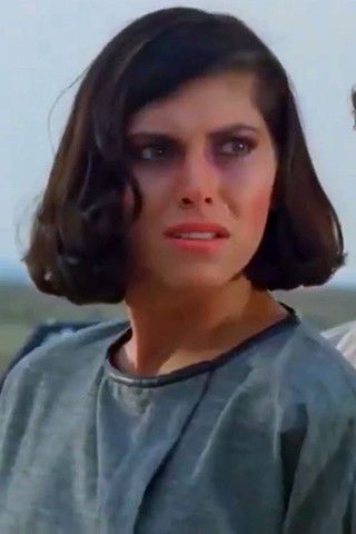 Pu Hsueh-liang backdrop