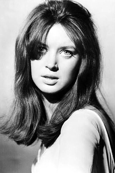 Jill Banner backdrop