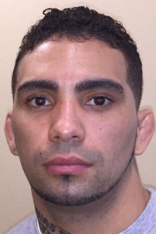 Caros Fodor backdrop