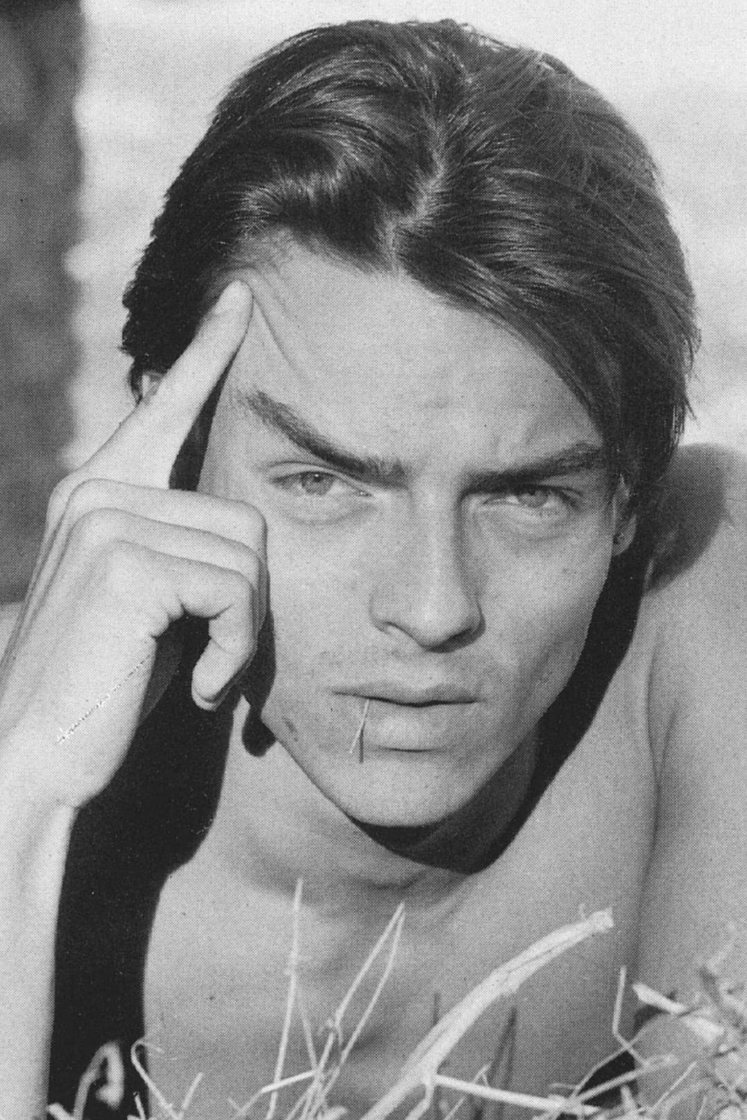 Peter Pitsch backdrop