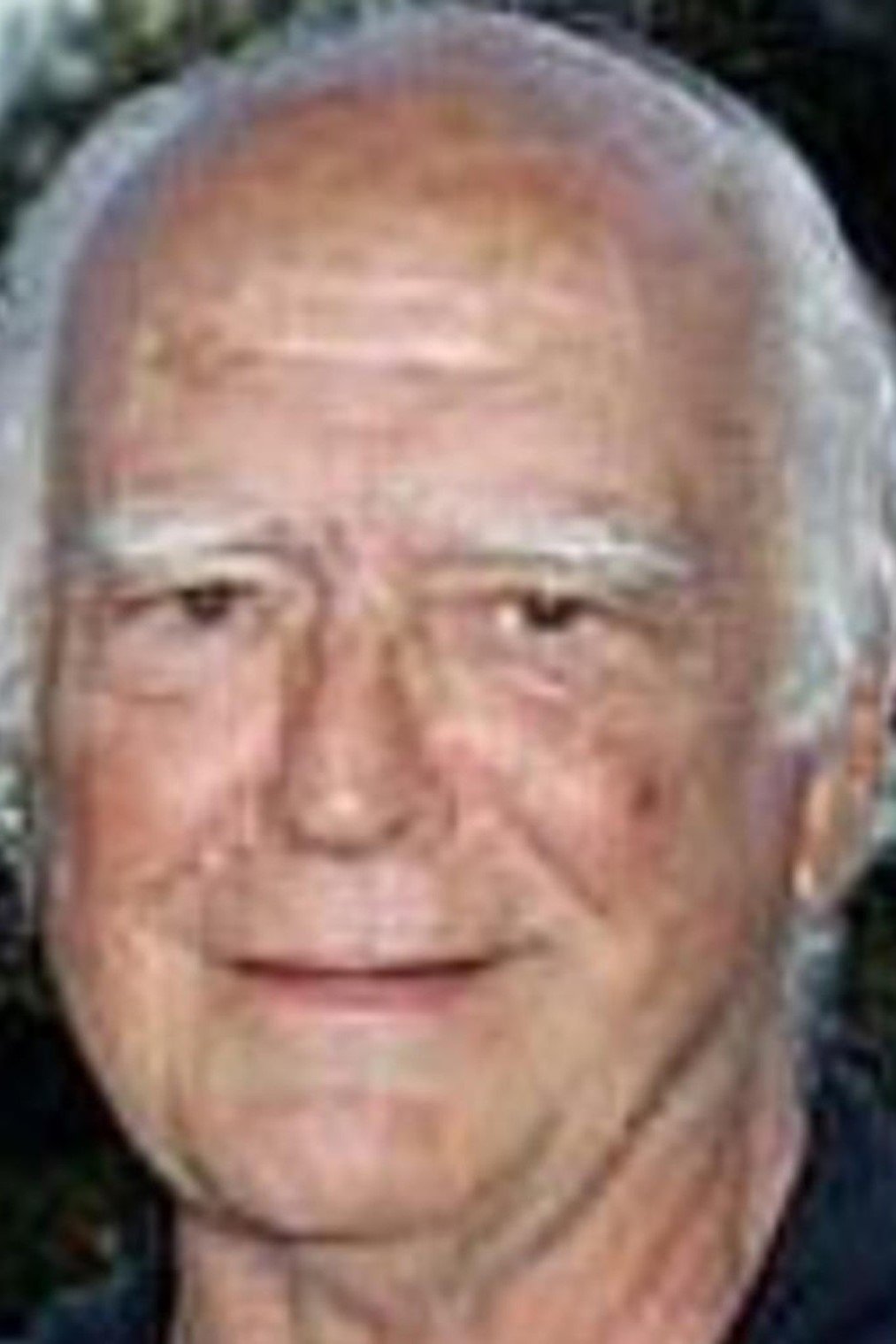 Joaquín Romero Marchent backdrop