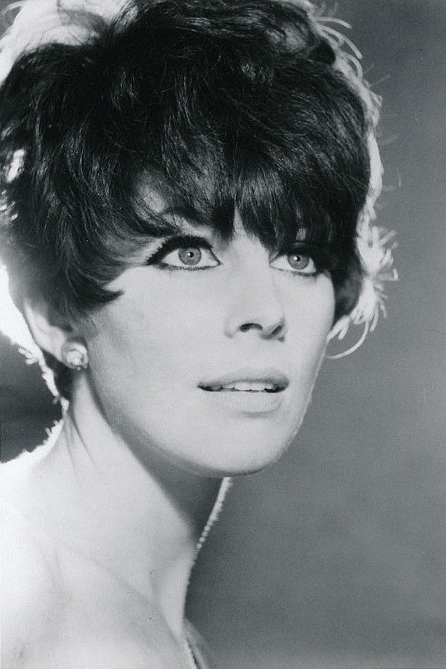 Elizabeth Knowles backdrop