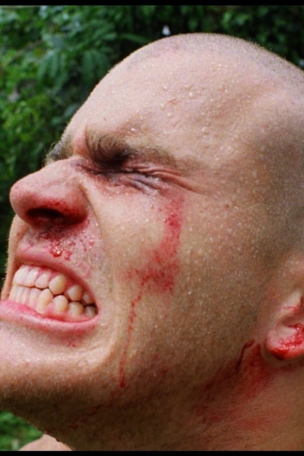 Aleks Vitale backdrop