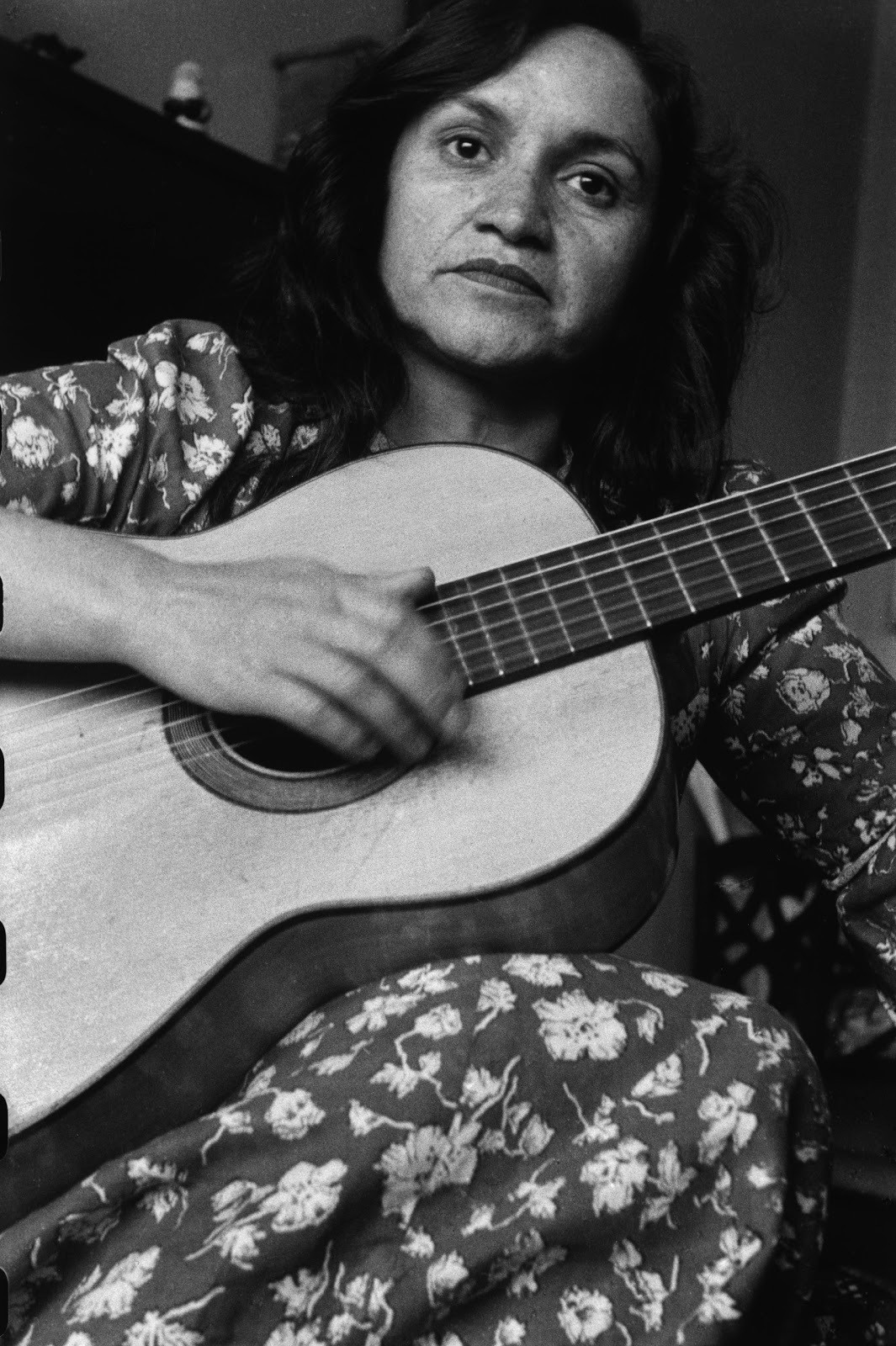 Violeta Parra backdrop