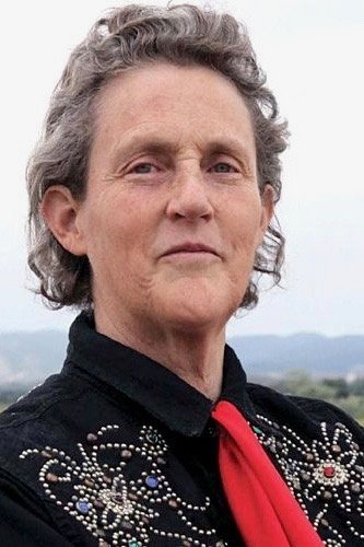 Temple Grandin backdrop
