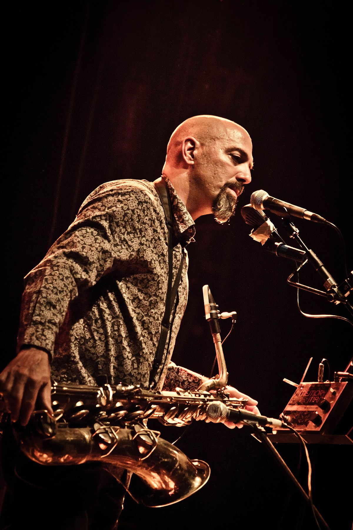 Dana Colley backdrop