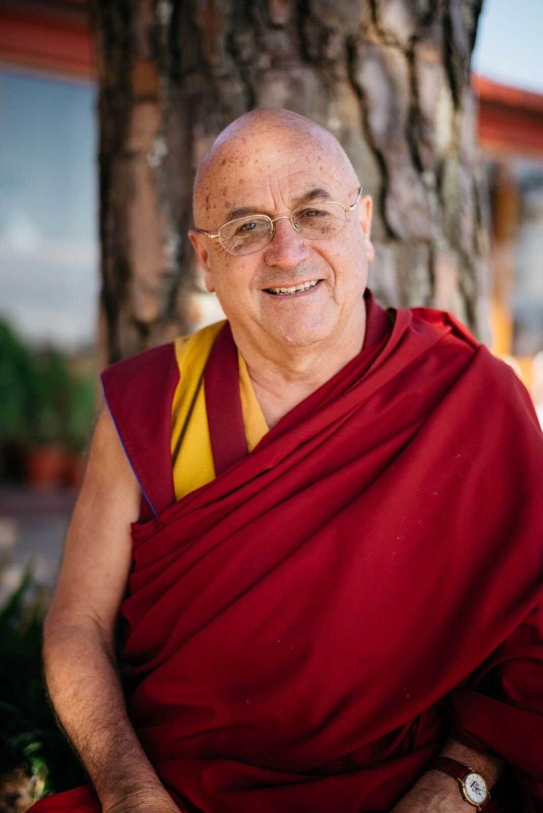 Matthieu Ricard backdrop