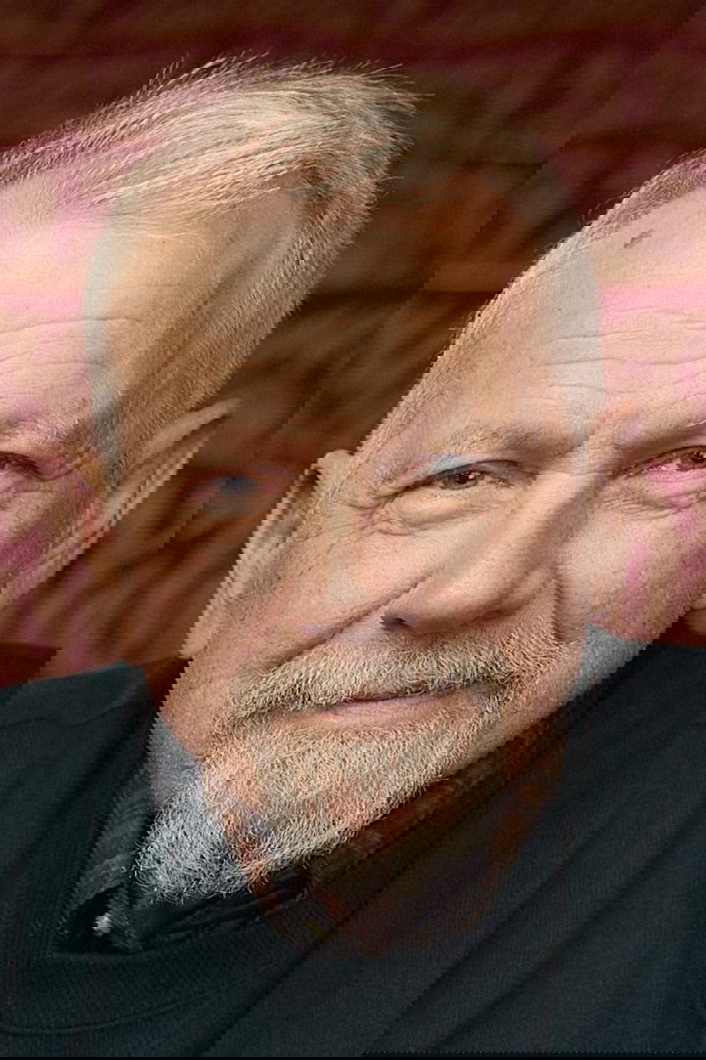 Pálmi Gestsson backdrop