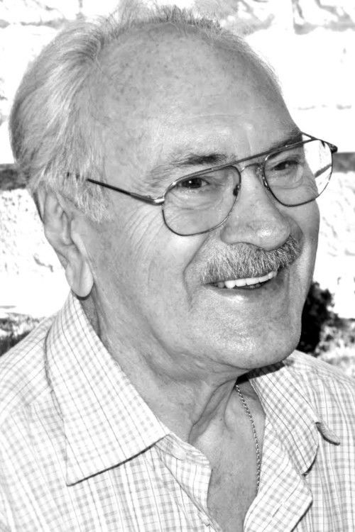 Ion Ungureanu backdrop